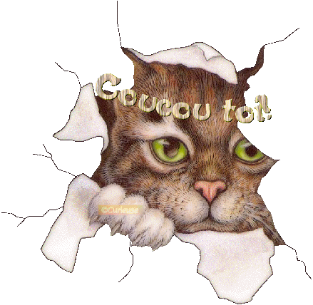  ET OUI